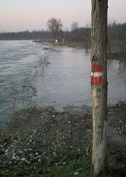 E1_Hochwasser_hinter_Besate