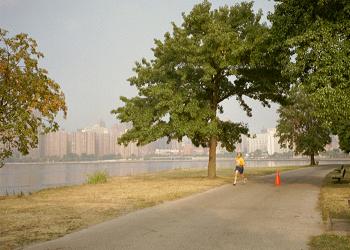 Ward_Island_Marathon02